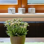 Apartment Lara&lea Zell am Ziller