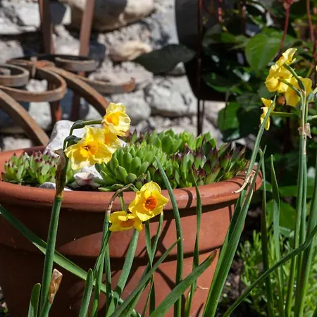 דירה Lara & Lea *