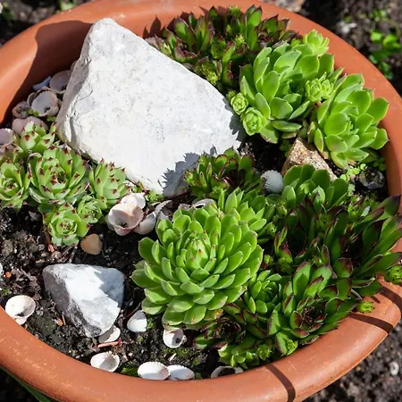 Lara & Lea דירה צל אם צילר