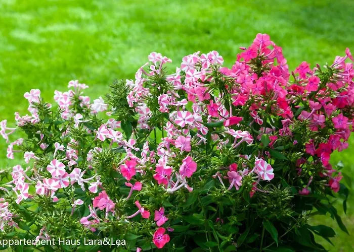 Lara & Lea Apartamento