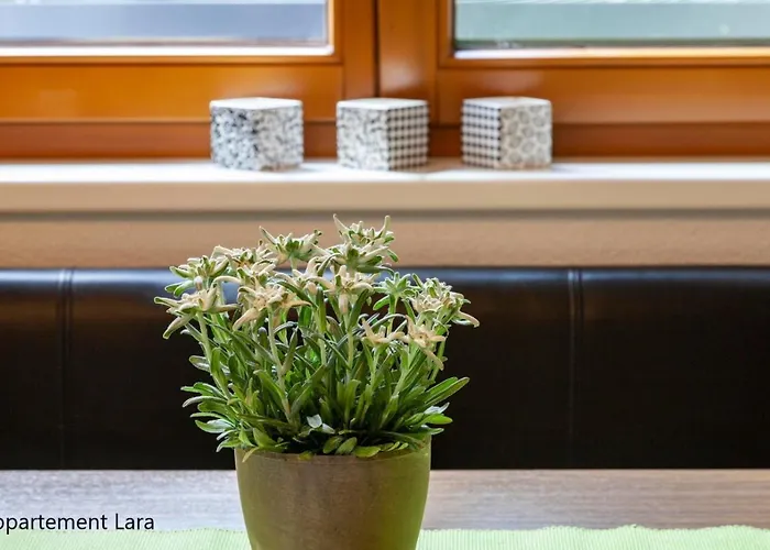 Apartamento Lara & Lea Zell am Ziller