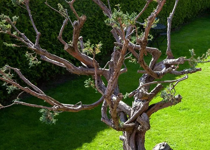 Apartamento Lara & Lea *