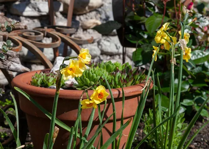 Apartamento Lara & Lea *