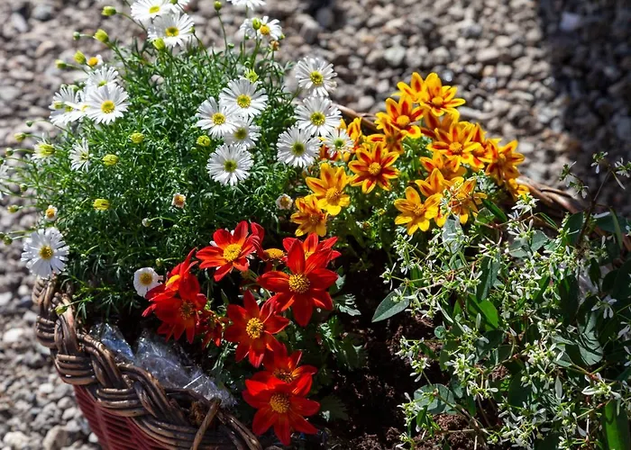 Lara & Lea Apartamento