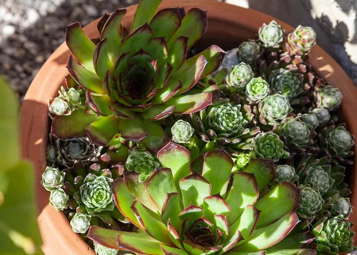 Apartamento Lara & Lea *