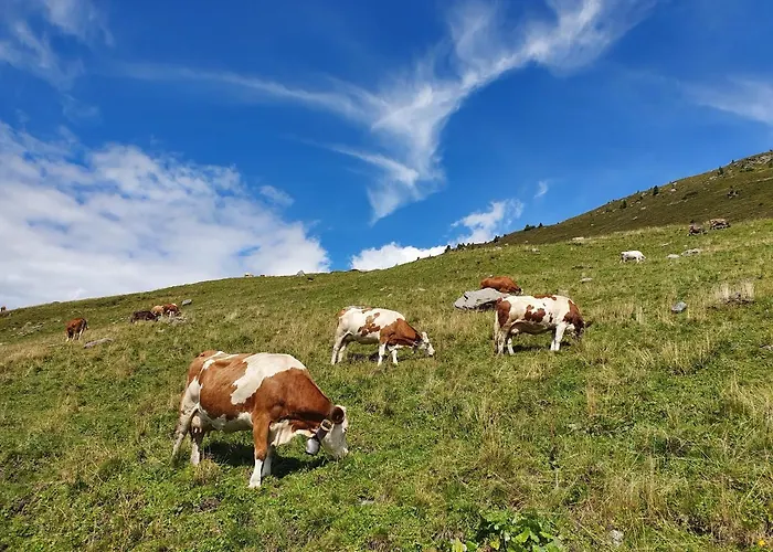 Lara & Lea Apartamento Zell am Ziller