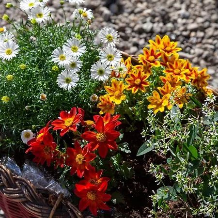 Lara & Lea Appartamento