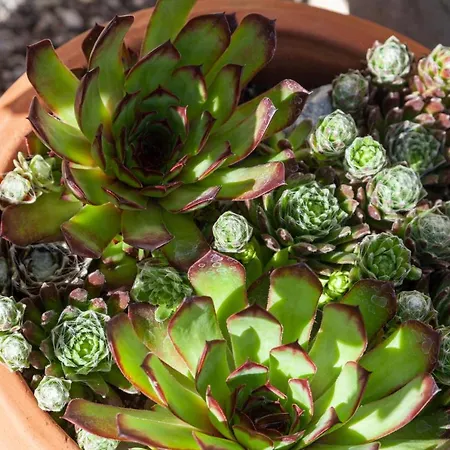 Appartamento Lara & Lea *