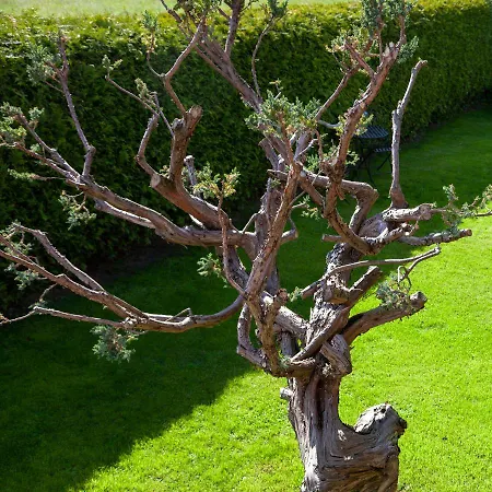 Lejlighed Lara & Lea *