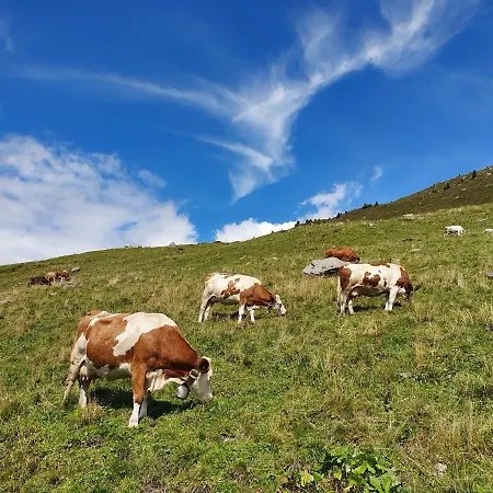 Lara & Lea Lejlighed Zell am Ziller